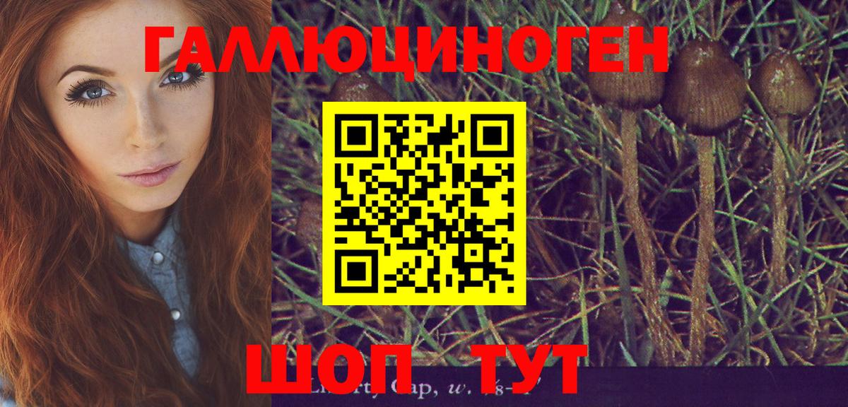 Йошкар-Ола  Галлюциногенные грибы MAGIC MUSHROOMS  Вход с VPN 