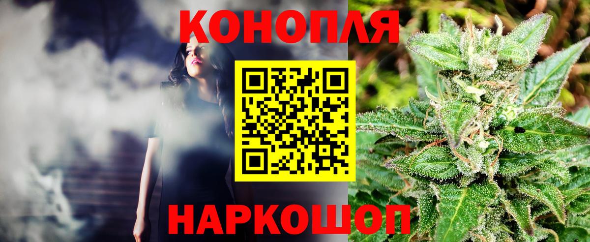 Конопля гибрид Йошкар-Ола